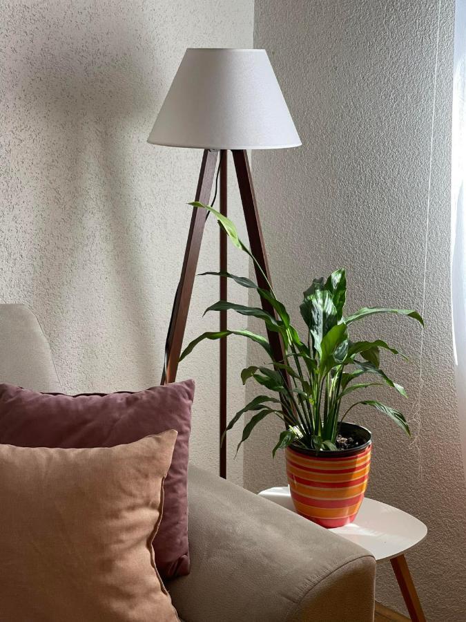 Dzenx Apartma